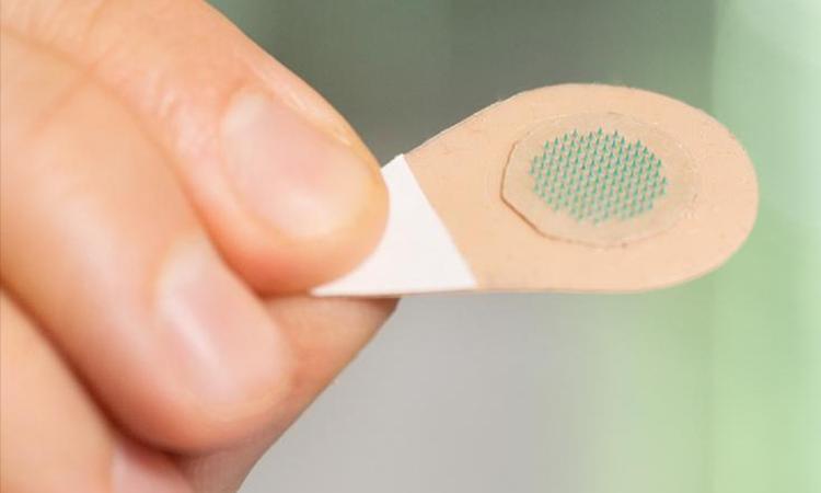 Closeup view of a hand holding a microneedle patch