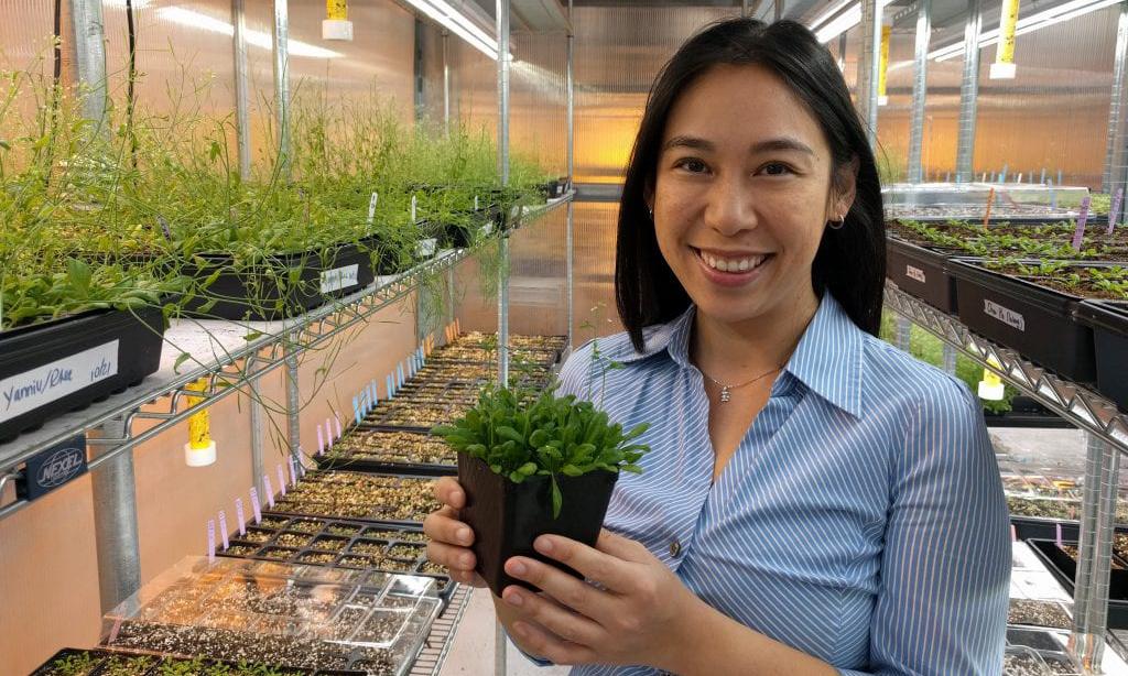 Lily Cheung holds a plant in a lab with many shelves of plants in the background.