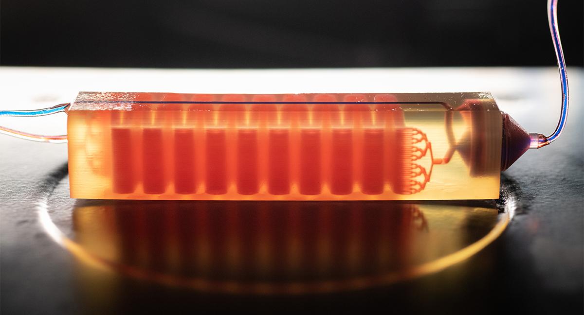 A microfluidic chip created by Fatih Sarioglu to scan a blood sample for cancer cells