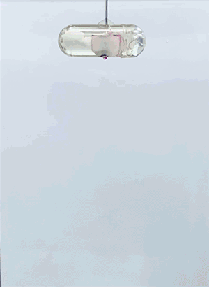 an animated gif of a pill releasing its contents
