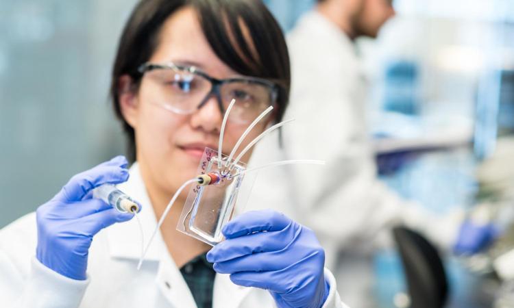 A student working in a biomedical lab