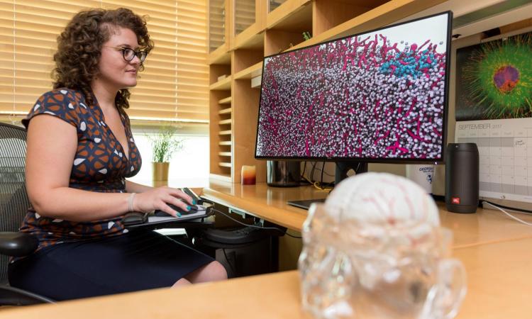 Eva Dyer looking at computer screen