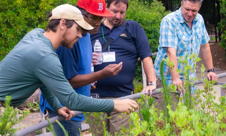 high school teachers investigate plants at Atlanta Botanical Garden in the BIRDEE program