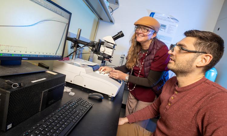 Natalie Stingelin and Mark Weber look at materials testing data on a lab computer.