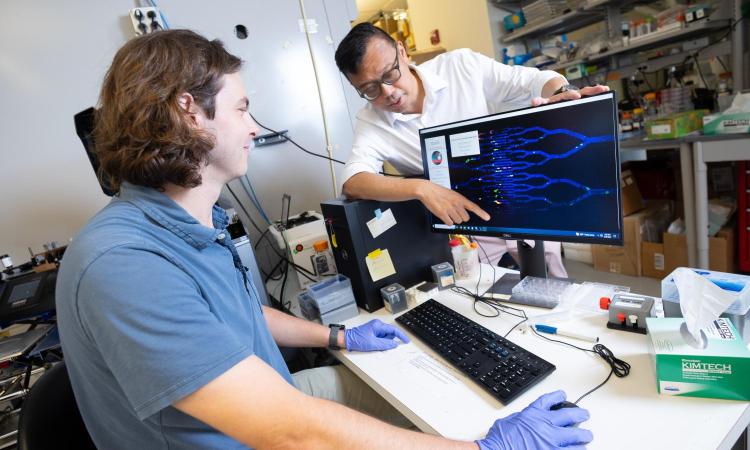 student and faculty member looking at computer