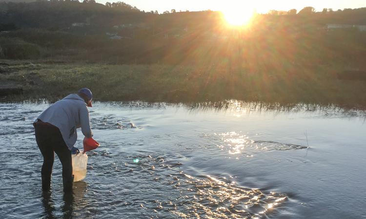 Katherine Graham in water with sun setting