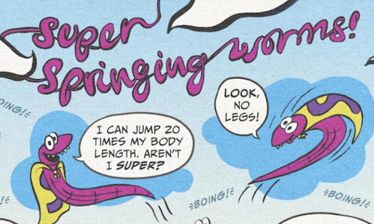 illustrated comic of "super springing worms"