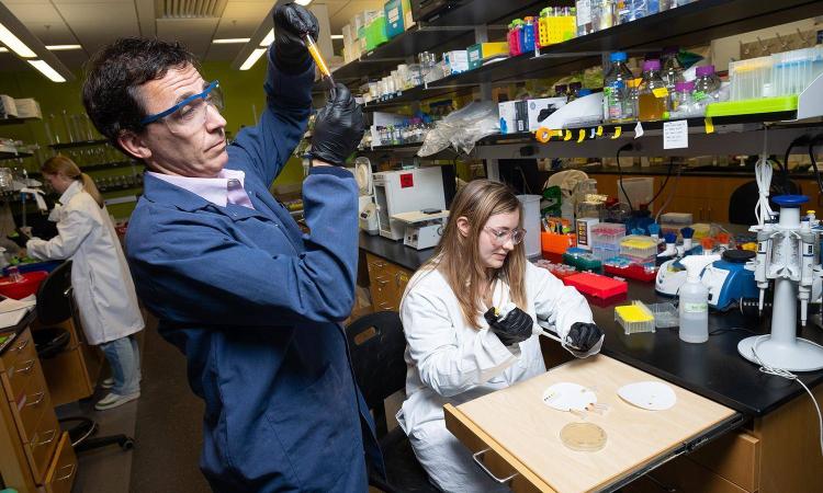 Two people test liquid samples in the lab