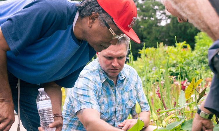 image of BIRDEE participants examining fllowers