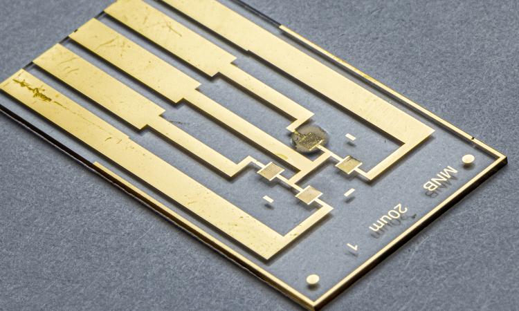electronic microchip for covid testing