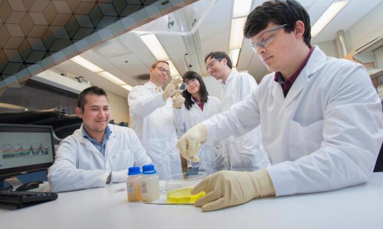 Researchers in lab coats work with a microchip and a container of yellow solution while a group behind them examines a clear microchip.