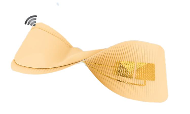 Illustration of a twisted multisensor biopatch with electronics on one side that would predict symptoms of heat-related health issues for farmworkers.