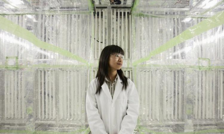 Nga Lee "Sally" Ng in her lab.