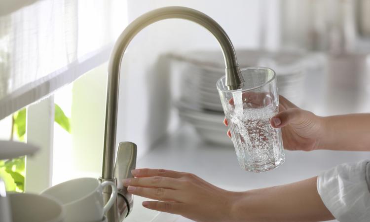 A glass is filled with water at a kitchen faucet.