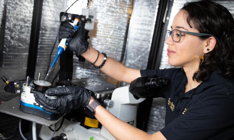 Carolina Colón works on cell therapies in the lab