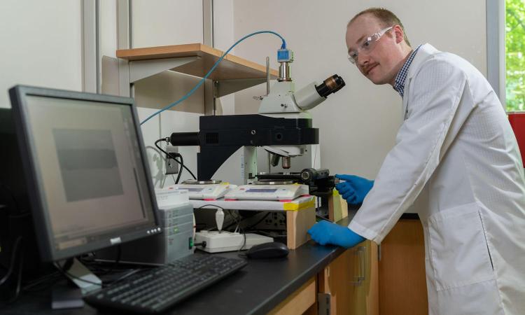 Christopher Bresette works on a microscope in the lab while looking at results on a computer screen. (Photo: Rob Felt)