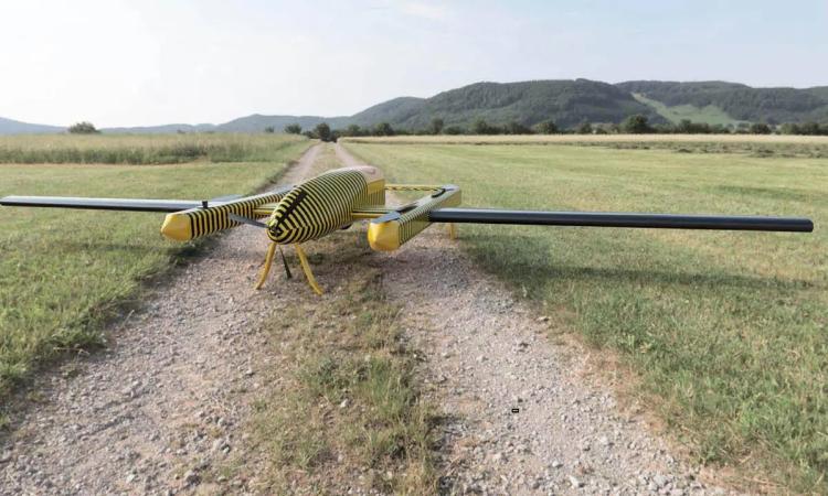 A yellow and black striped craft with a central fuselage and two pods on either side sites on a grassy field with a dirt path.