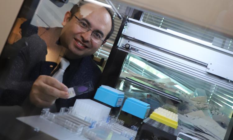 Ahmet Coskun holds a transparent specimen slide while looking across a tool in his lab that maps protein interactions. (Photo: Jerry Grillo)