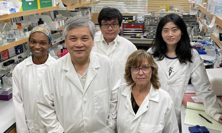 Five researchers in white lab coats stand in the middle of a lab with shelves of bottles and materials aon either side.