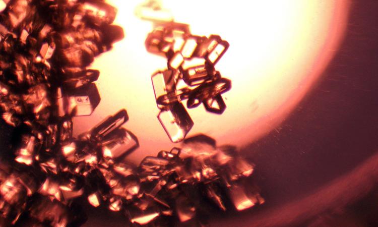 A jumble of clear blocks of varying sizes against an orange-tinged background light that's brightest in the top center of the image. The blocks are glycine, one of the critical amino acids needed for industrial, pharmaceutical, and other processes. (Image Courtesy: NASA)