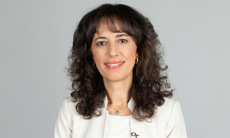Pinar Keskinocak headshot