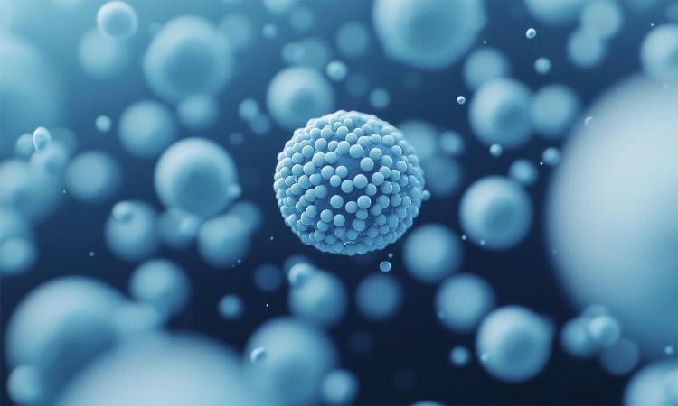 Illustration of a lipid nanoparticle. The image is filled with light blue bubbles of various sizes. The surface of the central bubble in focus is covered with smaller spheres.