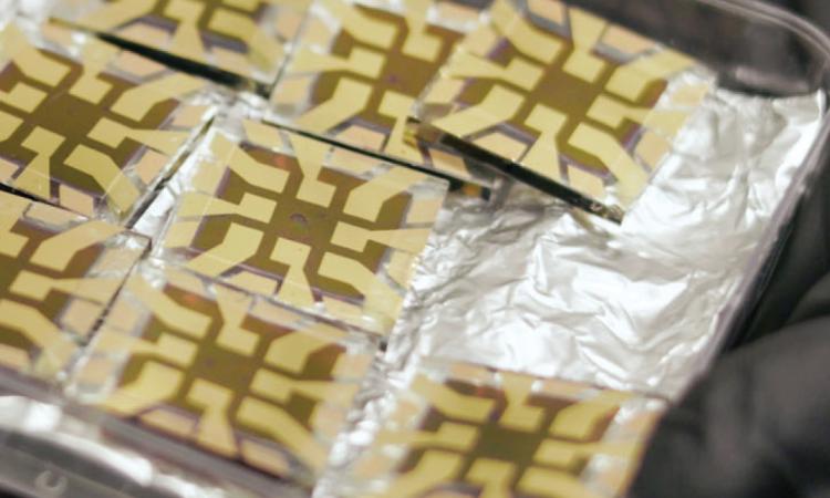 Up-close image of several square solar cell prototypes on a piece of foil in a clear plastic tray.