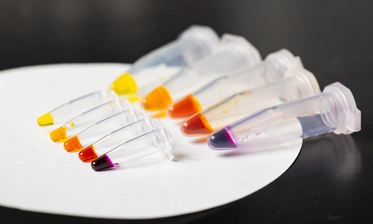 Five large vials and five small vials with colored liquid ranging from yellow to orange, red, and deep purple. (Photo: Candler Hobbs)