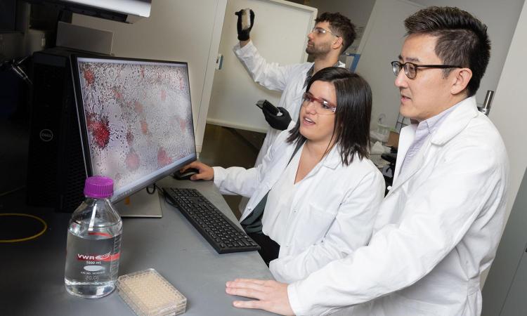 Lena Gamboa and Gabe Kwong look at colorized cells on a computer screen while Ali Zamat loads samples into a cell counting device. (Photo: Candler Hobbs)