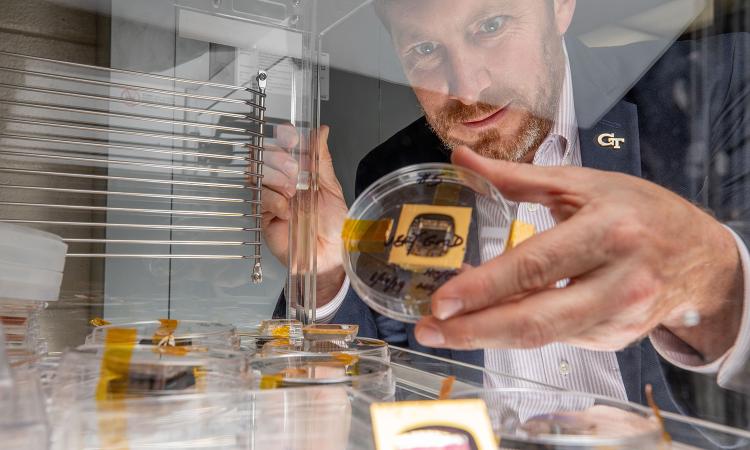 Jud Ready looks at solar cells