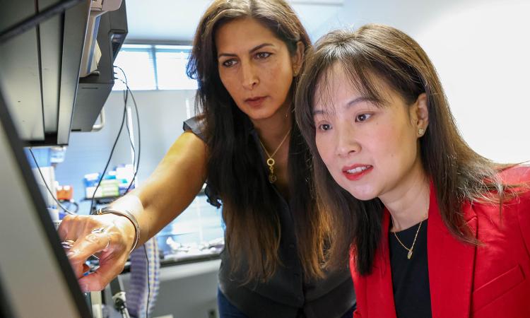 Nazanin Bassiri-Gharb and Yao Xie, who led development of a method to improve the accuracy and confidence of nanoscale measurement properties.