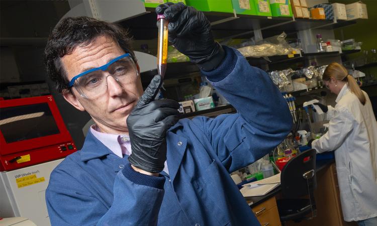 Mark Styczynski looks at a vial in the lab