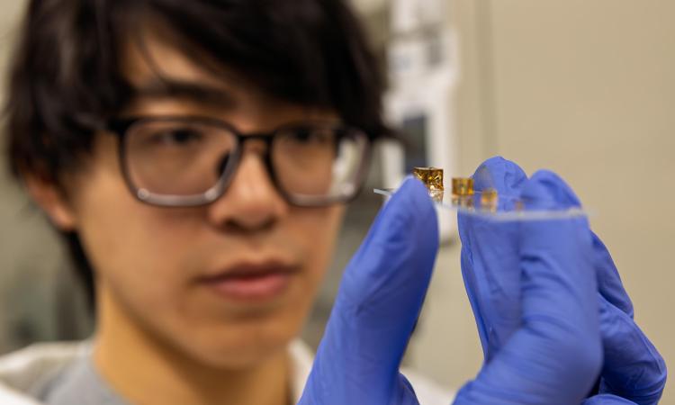 A researcher holds a small slide with cubes of a new polymer than can change or repair itself after fabrication.