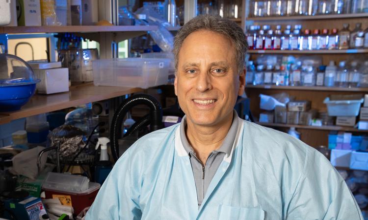 Mark Prausnitz in his lab.