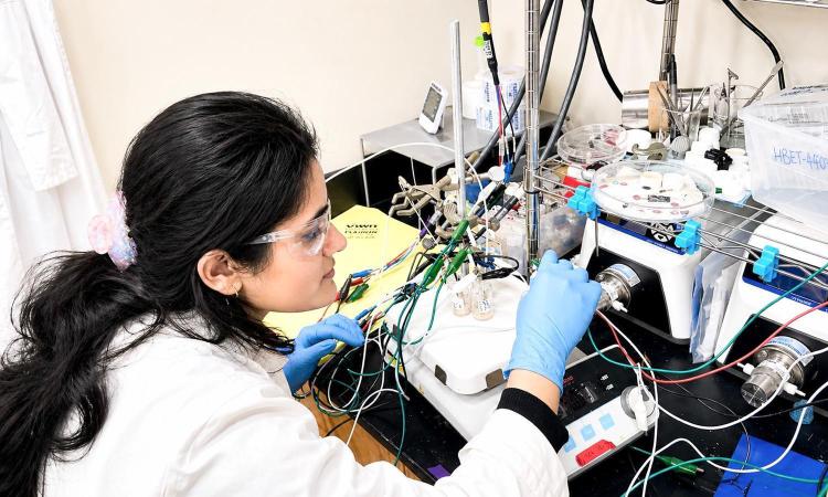 Anuja Tripathi works in the lab