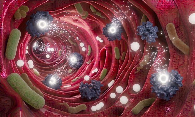 Illustration showing how ingestible probes might interact with microbes and enzymes inside the gut.
