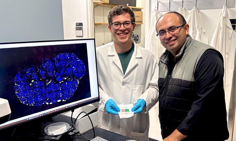Ahmet Coskun and a student hold their "diet-on-a-chip" device in the lab.
