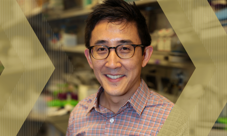 Gabe Kwong headshot