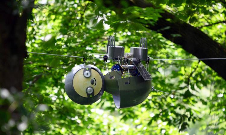 SlothBot on wire