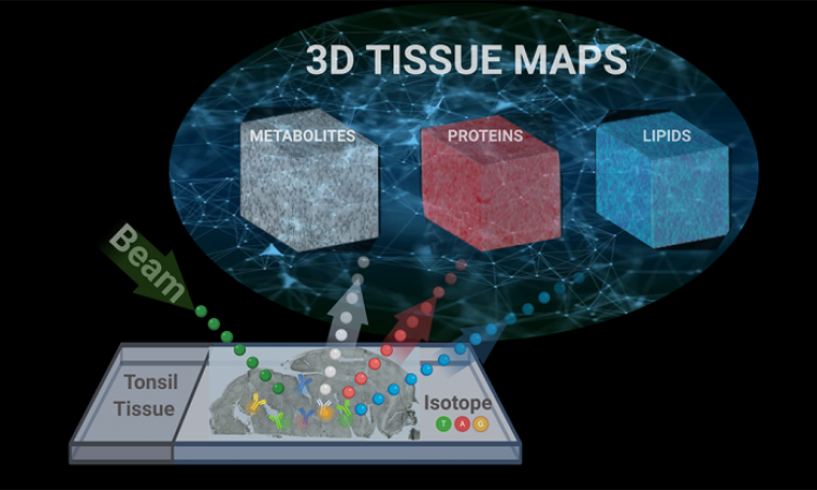A conceptual diagram illustrates how researchers used a single imagining technique called TOF-SIMS, or time-of-flight secondary ion mass spectrometry