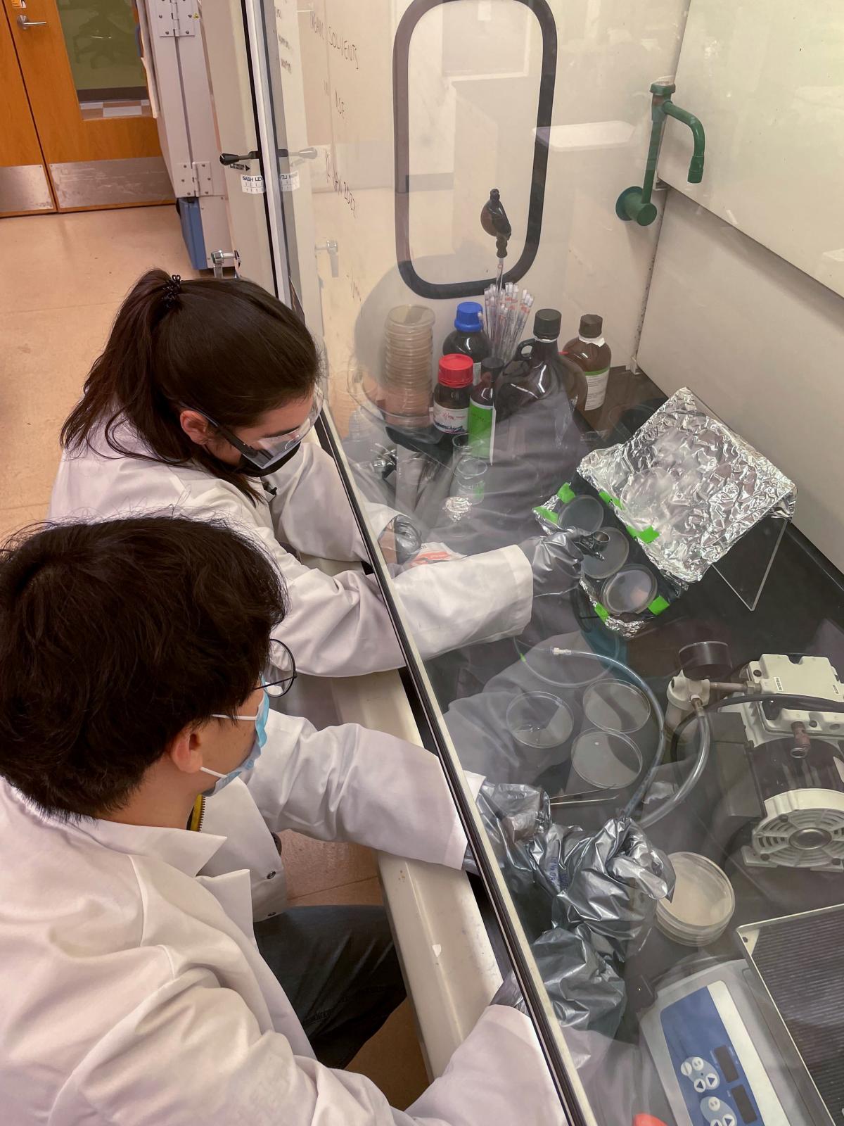 Elif Kilic and Seongwook Woo in the lab