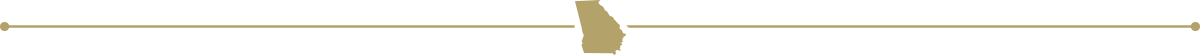 divider graphic of the state of Georgia