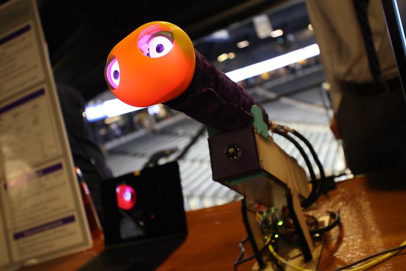 a robotic worm with eyes