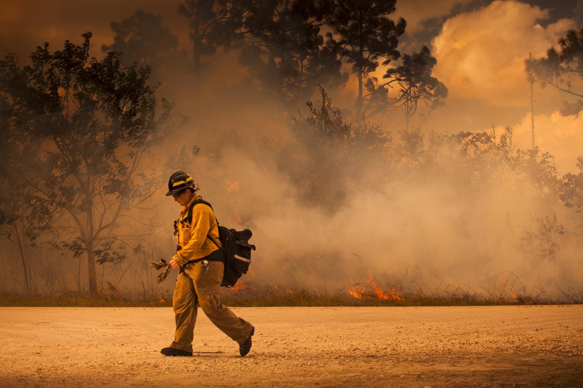 Firefighter at a forest fire