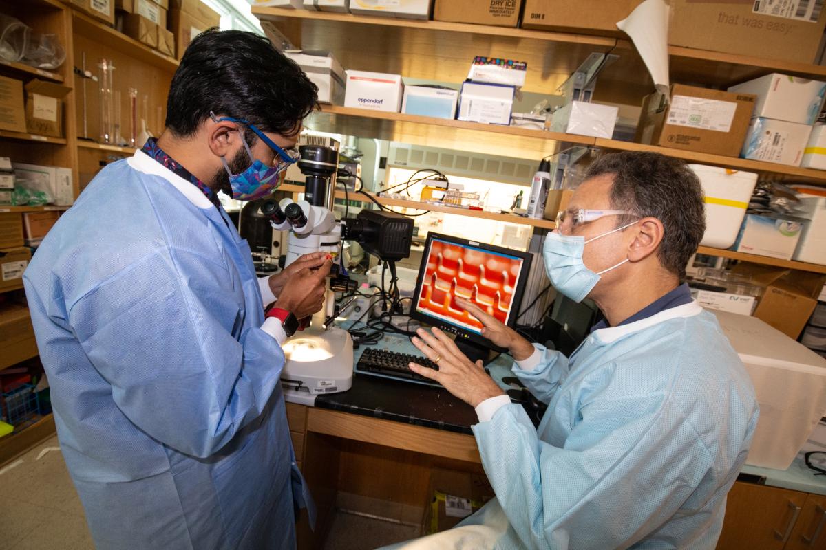 Saad Bhamla and Mark Prausnitz work on the BBQ lighter microneedle in the lab
