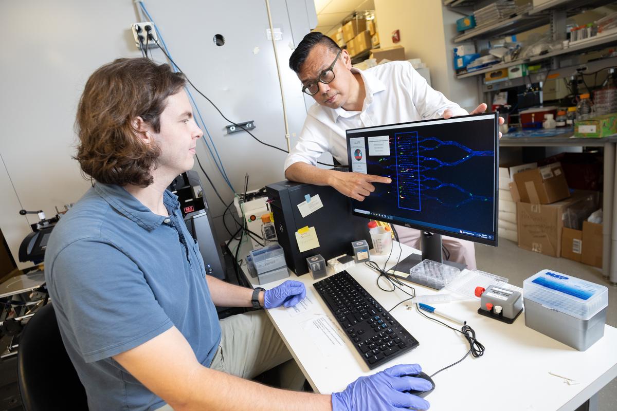 Wilbur Lam points at a computer screen image with lots of blue lines captured from a microfluidic chip while talking with Ph.D. student Kirby Fibben seated at the computer. (Photo: Candler Hobbs)