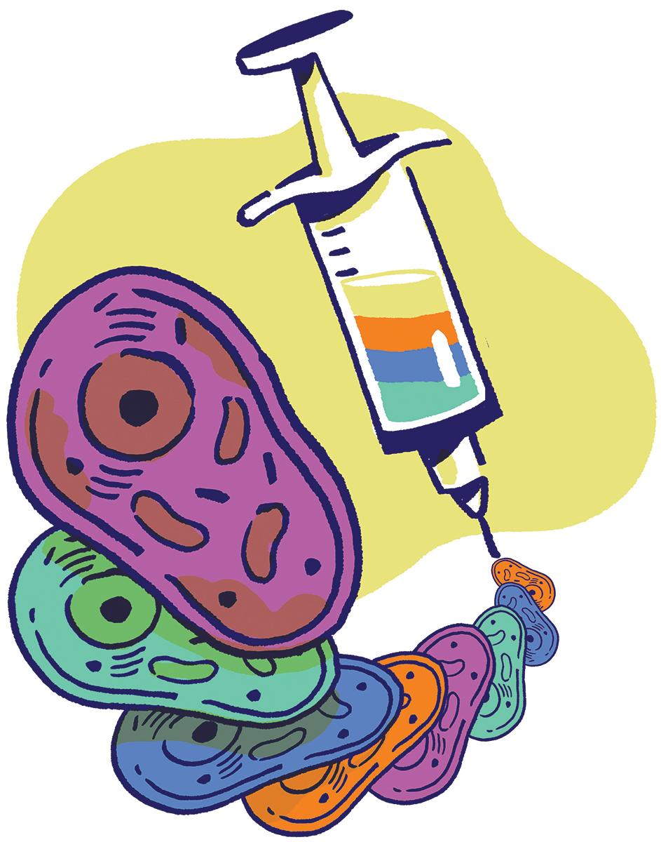 an illustration of different cells coming out of a hypodermic needle, representing the concept of 'synthetic biology.' By Charlie Layton