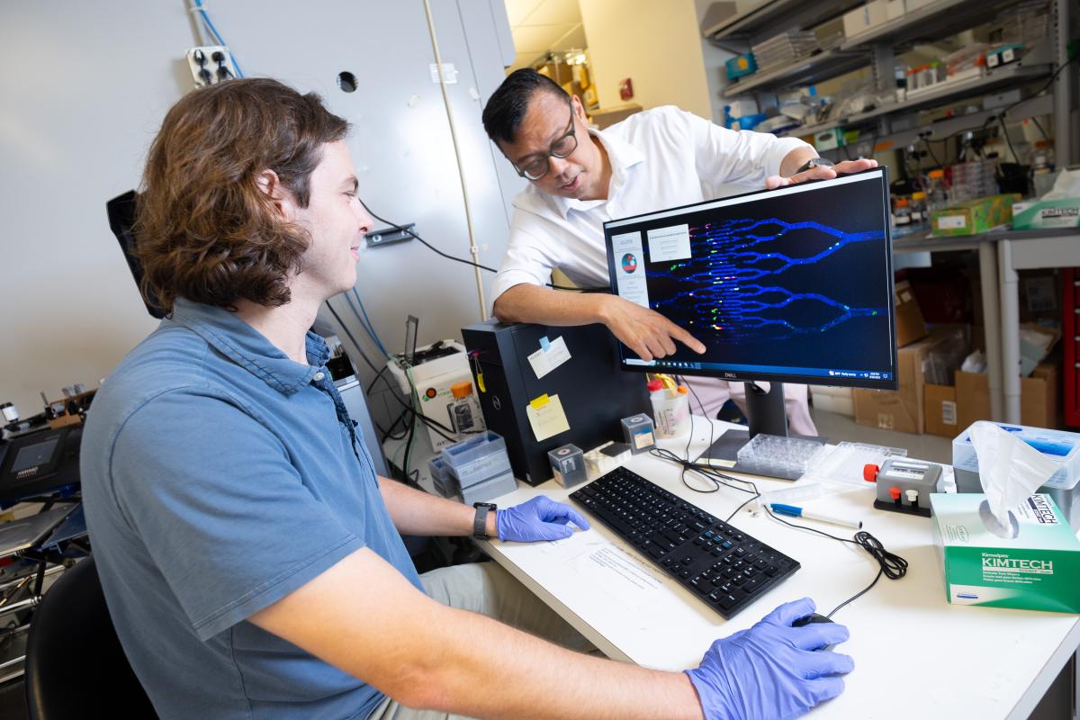 student and faculty looking at a computer screen