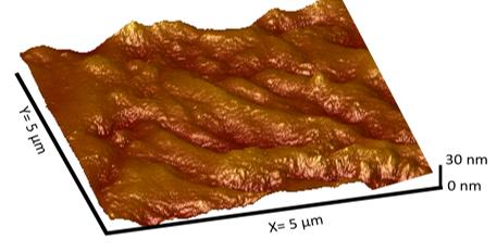 Bumpy texture of pristine stainless steel as captured through atomic force microscopy. (Image Courtesy: Anuja Tripathi)