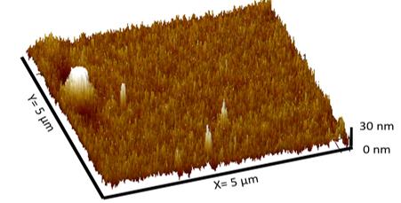 Texture of etched stainless steel with tiny needle-like structures as captured through atomic force microscopy. (Image Courtesy: Anuja Tripathi)